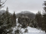 ������ ������ ����� �� �������� 2015 ���