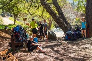 IMG_3466.jpg
