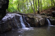 DSC_0163.JPG