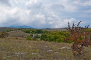 DSC_0483.jpg