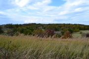 DSC_0479.JPG