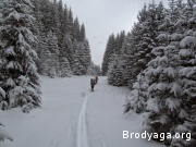 ������ ������ ����� �� �������� 2015 ���