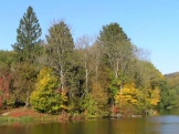 ������� ��� � �����������