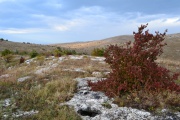 DSC_0553.JPG