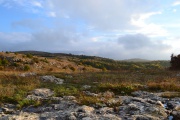 DSC_0569.JPG