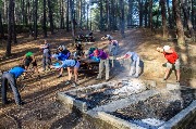 IMG_3473.jpg