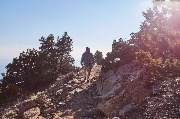 IMG_4813.jpg