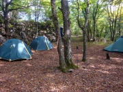 DSC04439.JPG
