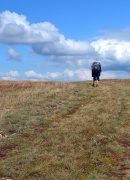 DSC_0207.JPG