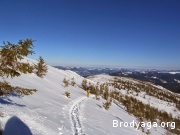 ������ ������ ����� �� �������� 2015 ���