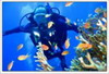 ��� ���������� �������� � ������� ����-������� "AQUA Space"