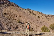 IMG_8799.jpg