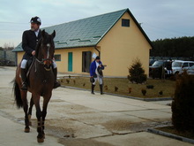 На Шосткинщине состоялись соревнования по конному спорту
