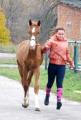 Тренировка с лошадьми на конно-спортивной ДЮСШ в посёлке Веретеновка