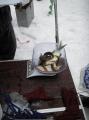 Фотографии 2-ого Зимнего чемпионата города Сумы по спортивной ловле рыбы на мормышку 2010 года