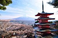 Путешествие в Японию – Страну Восходящего Солнца