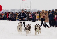 Собачьи гонки, катание на упряжках, фото с хаски: каким будет «Winter Dog Fest-2018»