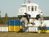 Спартакиада по конному спорту 2007 года в селе Патриотовка