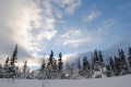 Лыжный поход 4 к.с. группы сумских туристов и путешественников по Ловозерским и Хибинским тундрам с 21.02 по 04.03.2011 г.
