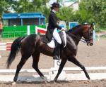 Фотоальбом Чемпионата Сумской области по конному спорту в июне 2011 года