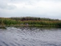 Водный не категорийный поход выходного дня на байдарках группы туристов "За горизонт" по реке Сула от села Москаленки до села Белогорилки в Сумской области в сентябре 2010 года
09.11.2010