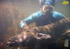 О подводной охоте на сома в Сумской области
