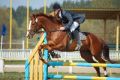 Соревнования по конному спорту памяти Б.И. Мурашова в Патриотовке 2009 год