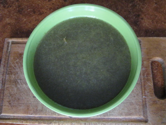 Концентрат грибного бульона для супа